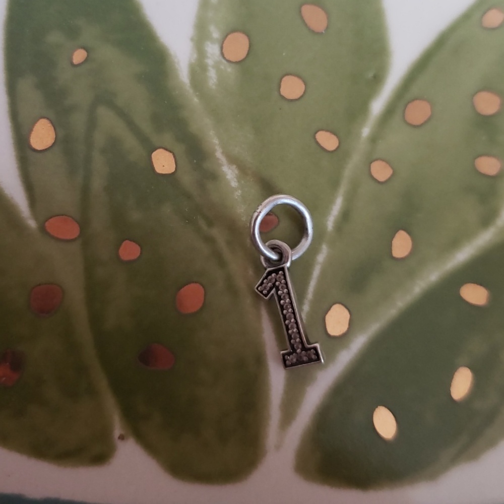 1 pandora charm